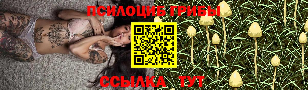 Псилоцибиновые грибы MAGIC MUSHROOMS Дзержинский