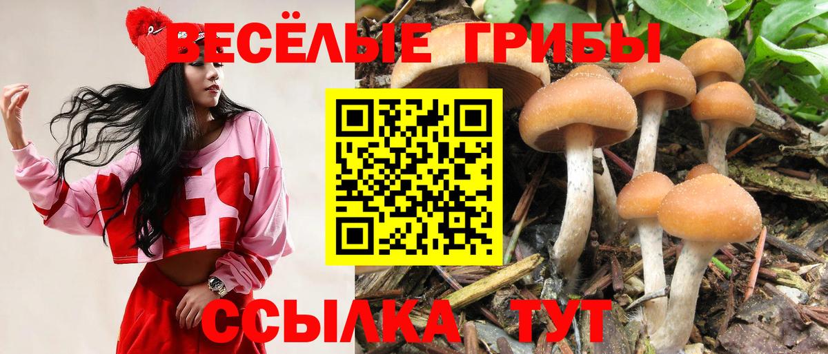 Галлюциногенные грибы мицелий  Вход с VPN  Галлюциногенные грибы мицелий  Дзержинский 